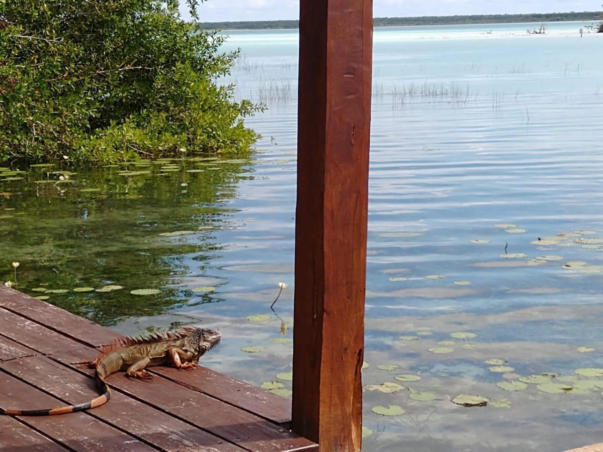 Bed and Breakfast Casa Shiva Bacalar By Mij Экстерьер фото
